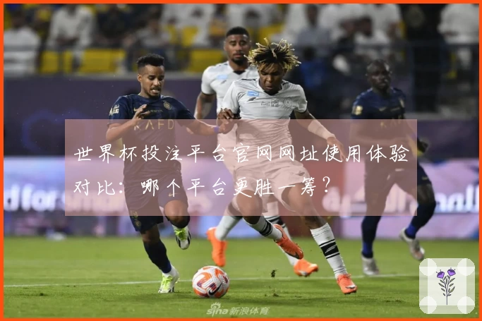 世界杯投注平台官网网址使用体验对比：哪个平台更胜一筹？