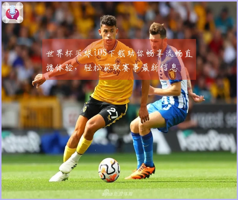 世界杯买球iOS下载助你畅享流畅直播体验，轻松获取赛事最新信息