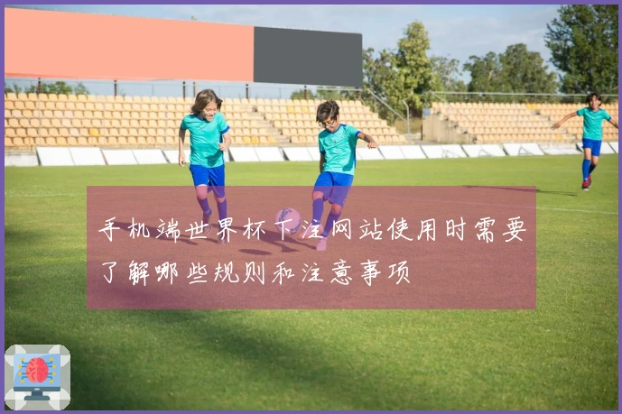 手机端世界杯下注网站使用时需要了解哪些规则和注意事项