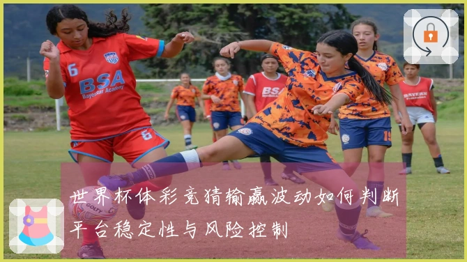 世界杯体彩竞猜输赢波动如何判断平台稳定性与风险控制