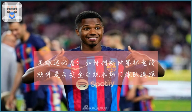 足球迷必看:如何判断世界杯竞猜软件是否安全合规和热门球队选择指南