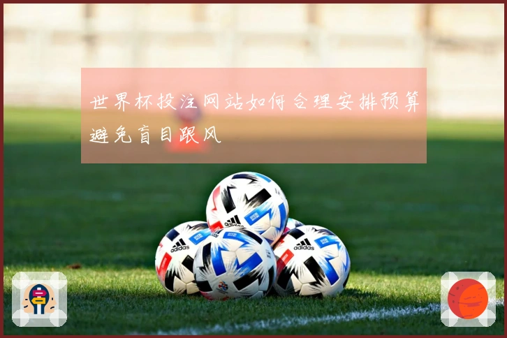 世界杯投注网站如何合理安排预算避免盲目跟风