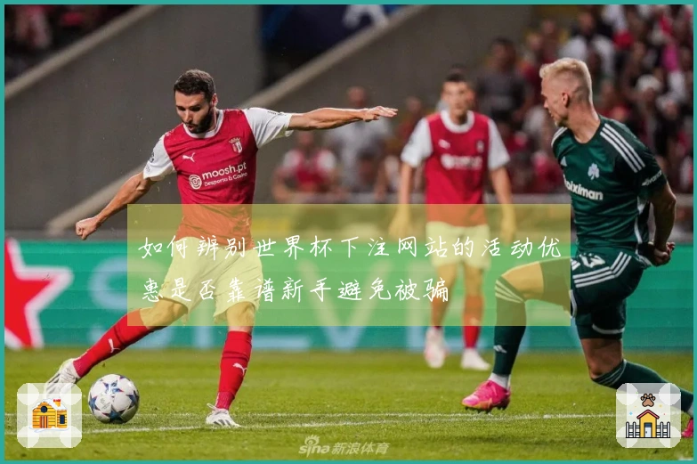 如何辨别世界杯下注网站的活动优惠是否靠谱新手避免被骗