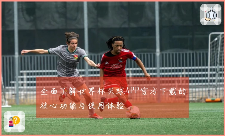 全面了解世界杯买球APP官方下载的核心功能与使用体验