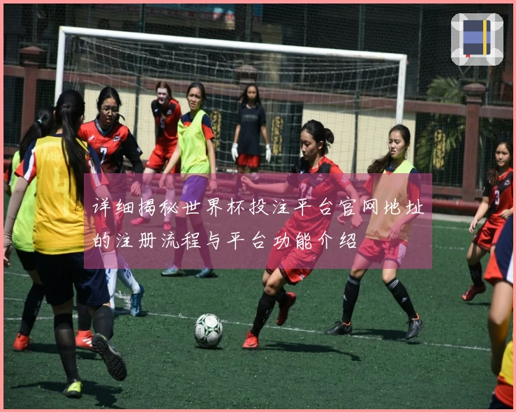 详细揭秘世界杯投注平台官网地址的注册流程与平台功能介绍